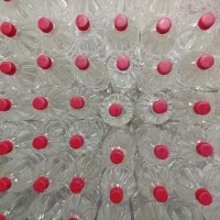 گلاب سنتی درجه1 دو اتیشه