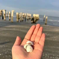 عکاسی