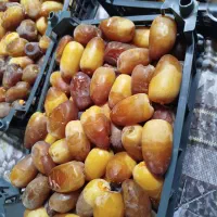 رطب کبکاب درجه یک