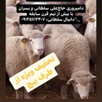 دامداری حاج علی سلطانی