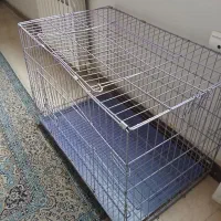 قفس   سگ