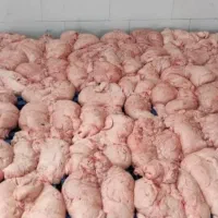 دنبه و خرده دنبه گوسفندوگوساله وگوشت گوساله برزیلی