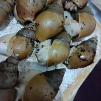 فروش تابستانه حلزون تخم حلزون وکلاژن .به مدت محدود