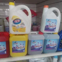 شوینده عرشیا