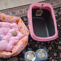 وسایل گربه