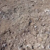 کود کمپوست قارچ تناژ بالا