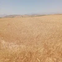 کاه ۶۰انبار