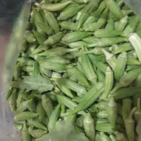 بامیه ارگانیک وتازه