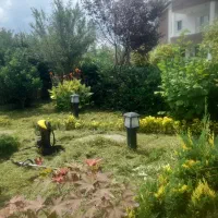 سمپاشی، هرس و پاکسازی انواع علفهای هرز