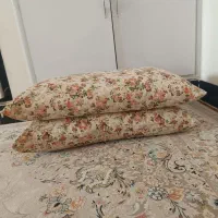 12عددبالش