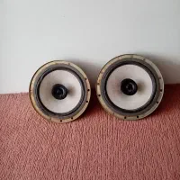 باند فابریک پژو 405