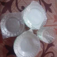 ظروف پذیرایی