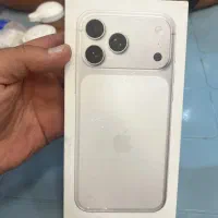 17 pro max