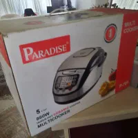 پلوپز ۱۹ کاره paradise