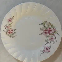 چینی توس