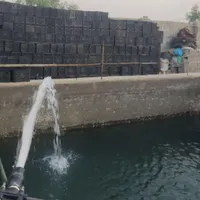 سبد پلاستیکی میوه