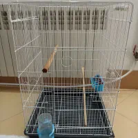قفس پرنده