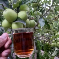 فروش خط دائمی ۰۹۱۵۱۰۶۹۹۷۵
