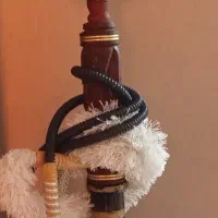 قلیون