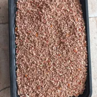 بذرگوجه|خدمات باغبانی و درختکاری|اصفهان, ارداجی|دیوار