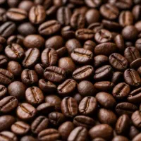 فروش عمده و دان باکیفیت و قیمت منطقی