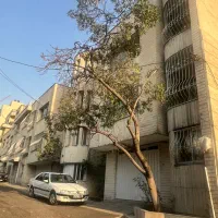 ۳۶۵ متر مشارکت