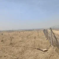 باغ