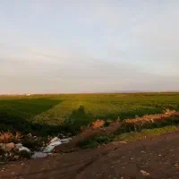 فروش زمین ۸۰۰۰ متری