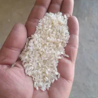 شلتوک ،برنج