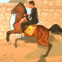 برکت یک نریان پر خون