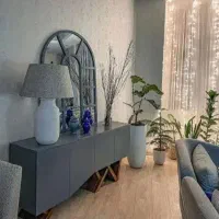 نظافتچی منزل.    خانم