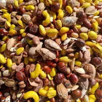 آجیل اقتصادی ،اجیل سلطانی ،تخمه ،شکلات ،نخودکشمش