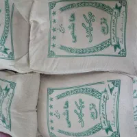 برنج گیلان