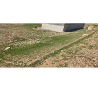 زمین۲۴۰متر ده کیان دهدز
