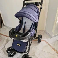 سیسمونی اقتصادی