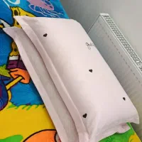بالش پر مرغ