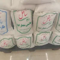 برنج هاشمی اعلا عطری زیر قیمت 490