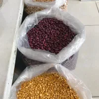 حبوبات