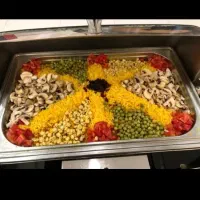 تشریفات مجالس ،سناتور،
