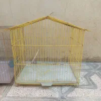 قفس فنچ مرغ عشق سهره قناری
