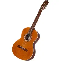 گیتار پارسی M5