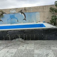 بنایی کاشیکاری واجرای تخصصی استخر با آبندی