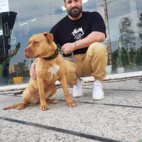 مربی سگ و رفتارشناس