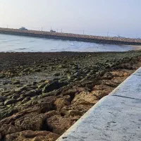 یک خوابه ویلایی کنار دریا