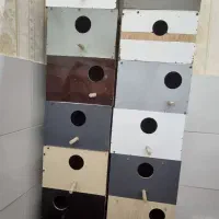 لانه،آشیانه عروس،کوتوله