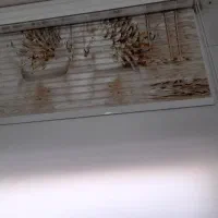 پرده زبرا دومکانیزه
