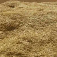 کاه گندم درجه یک  کمباین شده