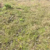 زمین فروشی کوی اندیشه