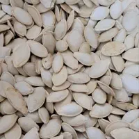 خرید فروش تخمه کدو