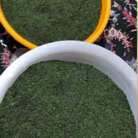 کوهی|حیوانات مزرعه|بندر کنگان, |دیوار